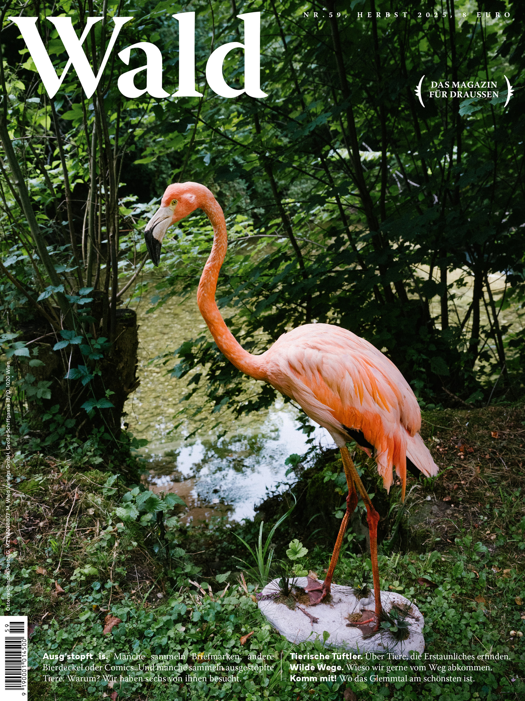 Stuffed Animals - Wald
