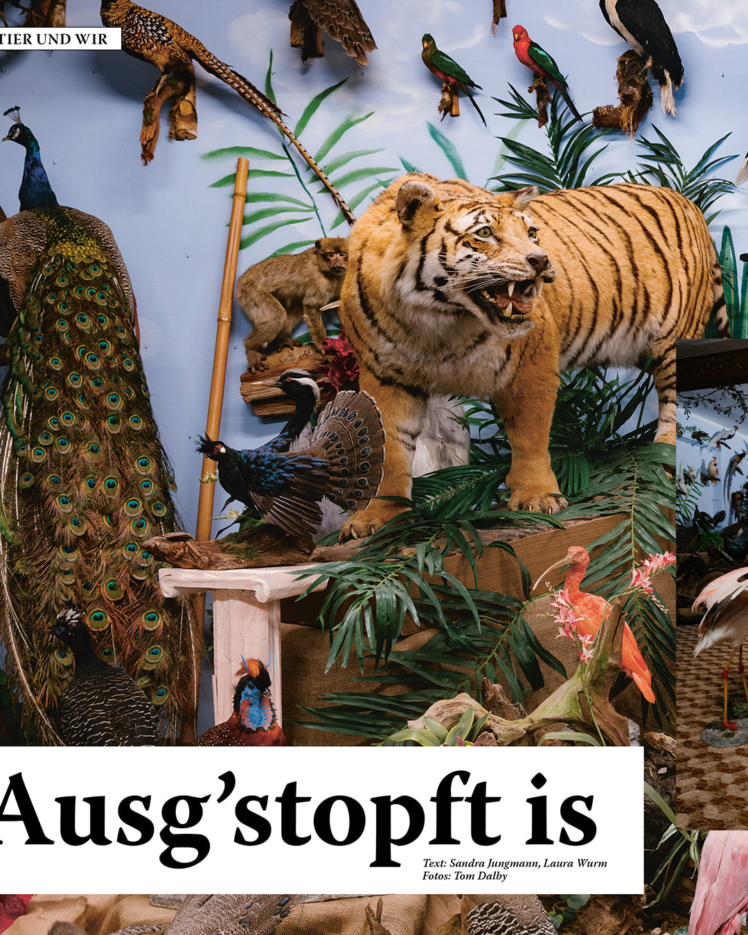 Stuffed Animals - Wald — carousel 2
