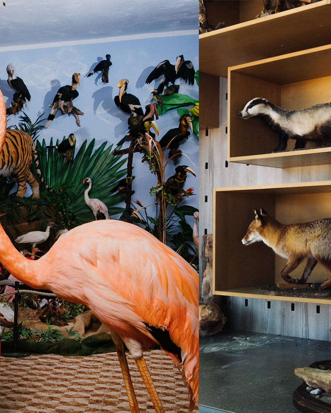 Stuffed Animals - Wald — carousel 5