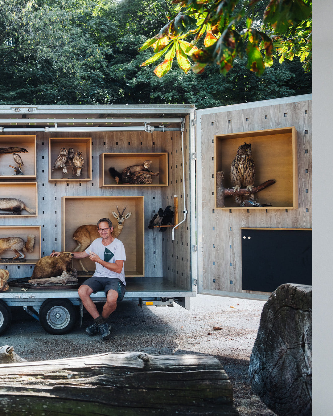 Stuffed Animals - Wald — carousel 8
