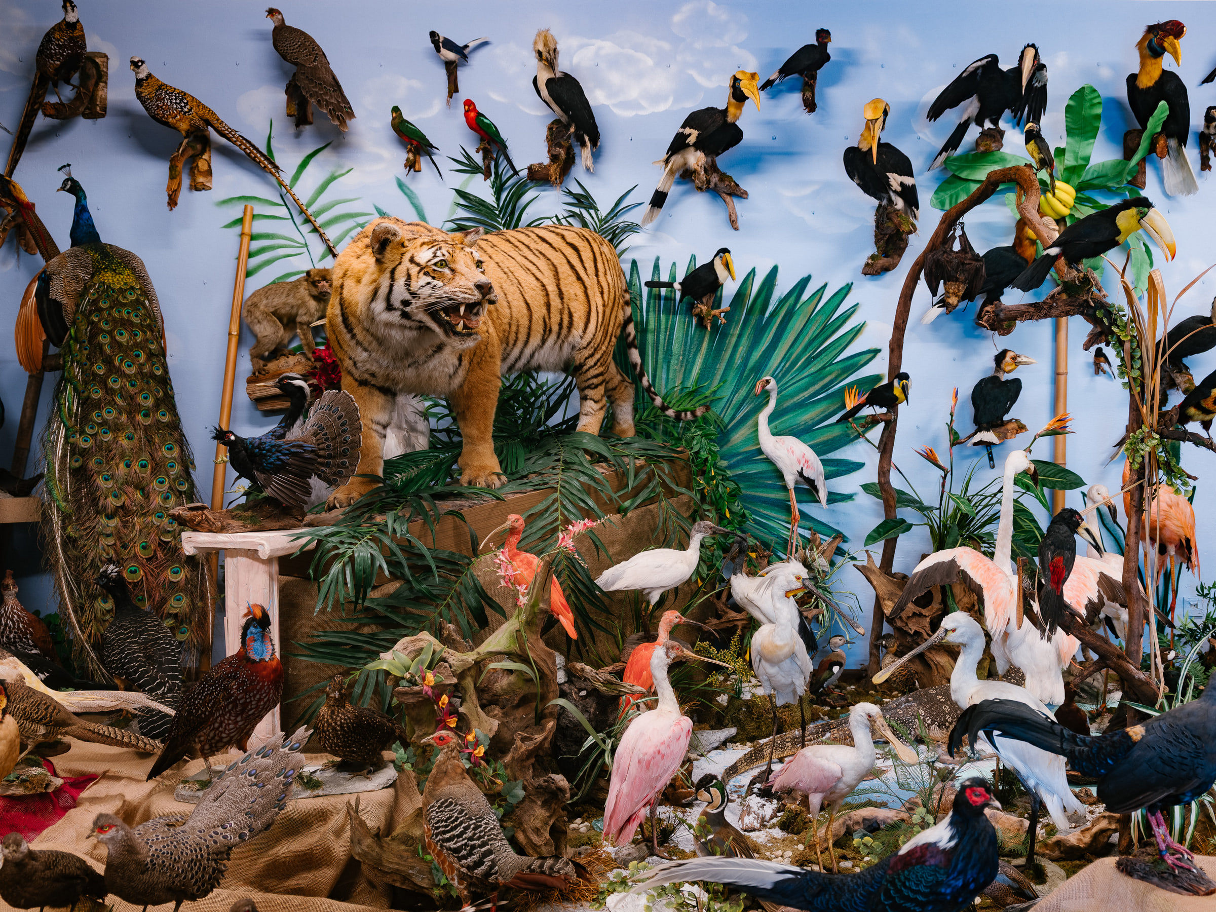 Stuffed Animals - Wald — photo 17
