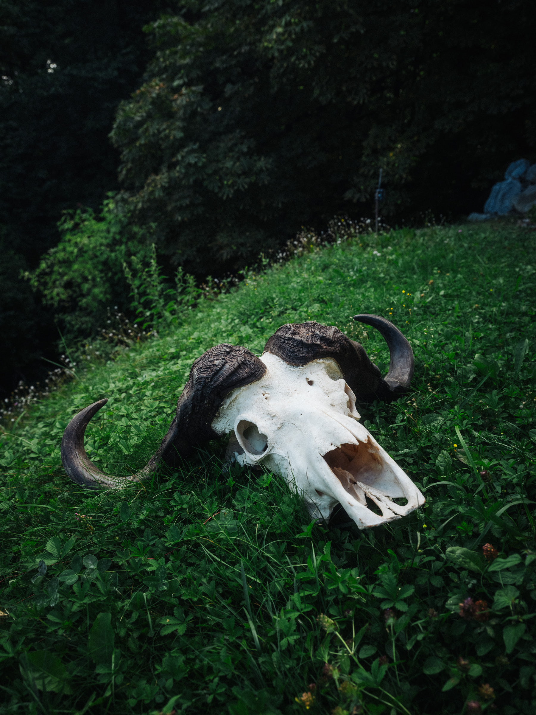 Stuffed Animals - Wald — photo 11