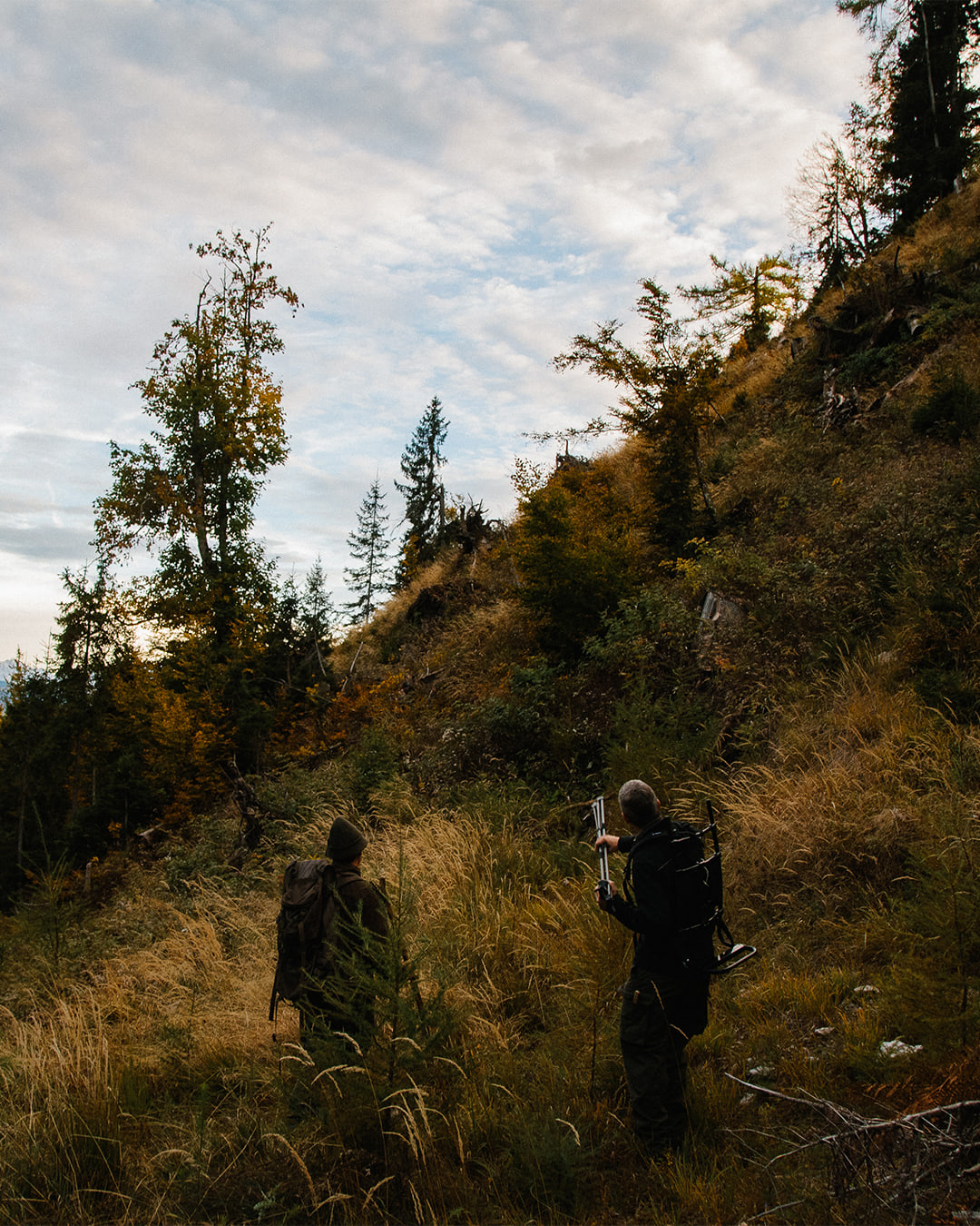 Wald Hunters — carousel 3