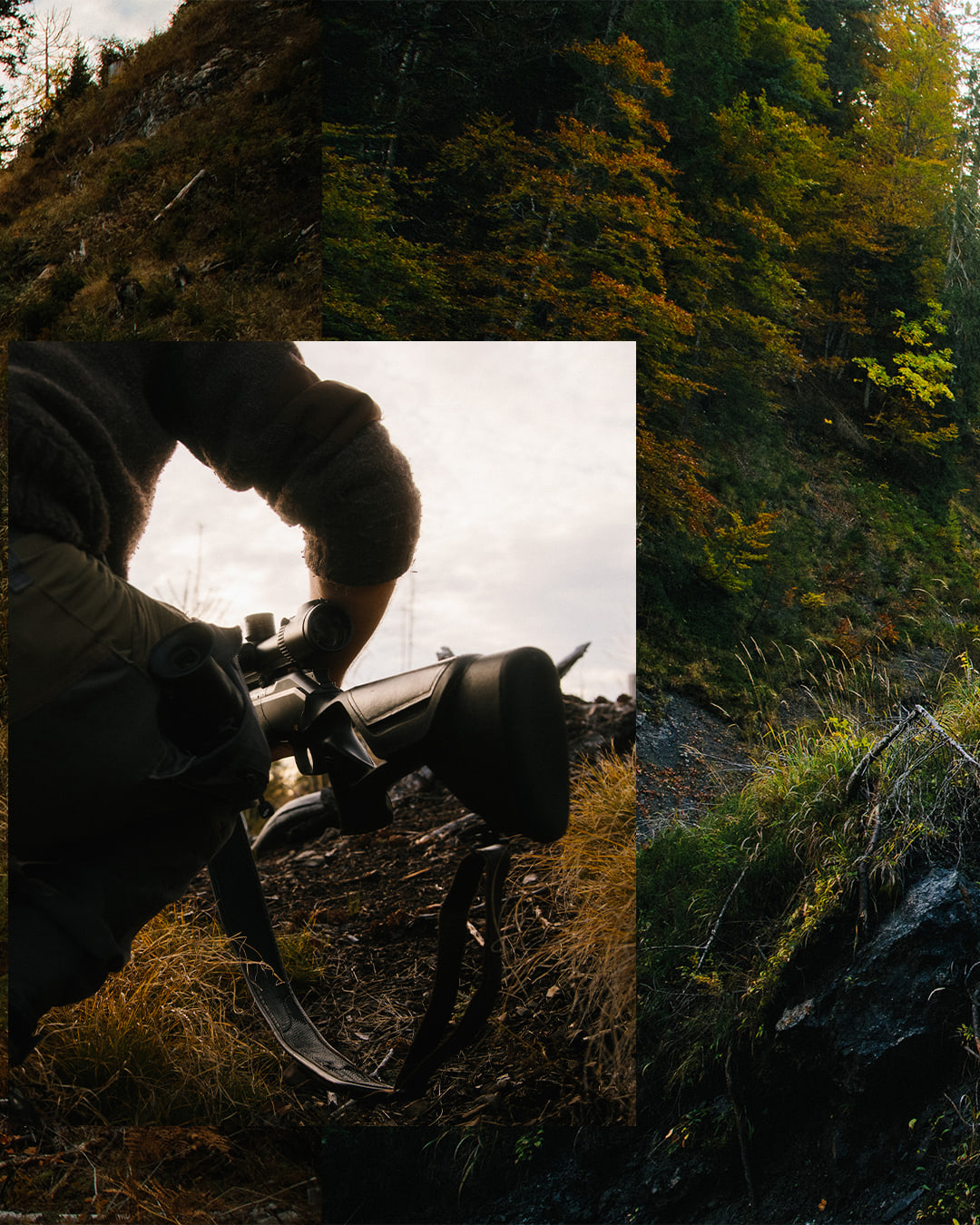 Wald Hunters — carousel 4