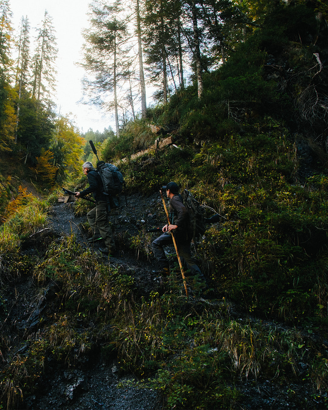 Wald Hunters — carousel 5