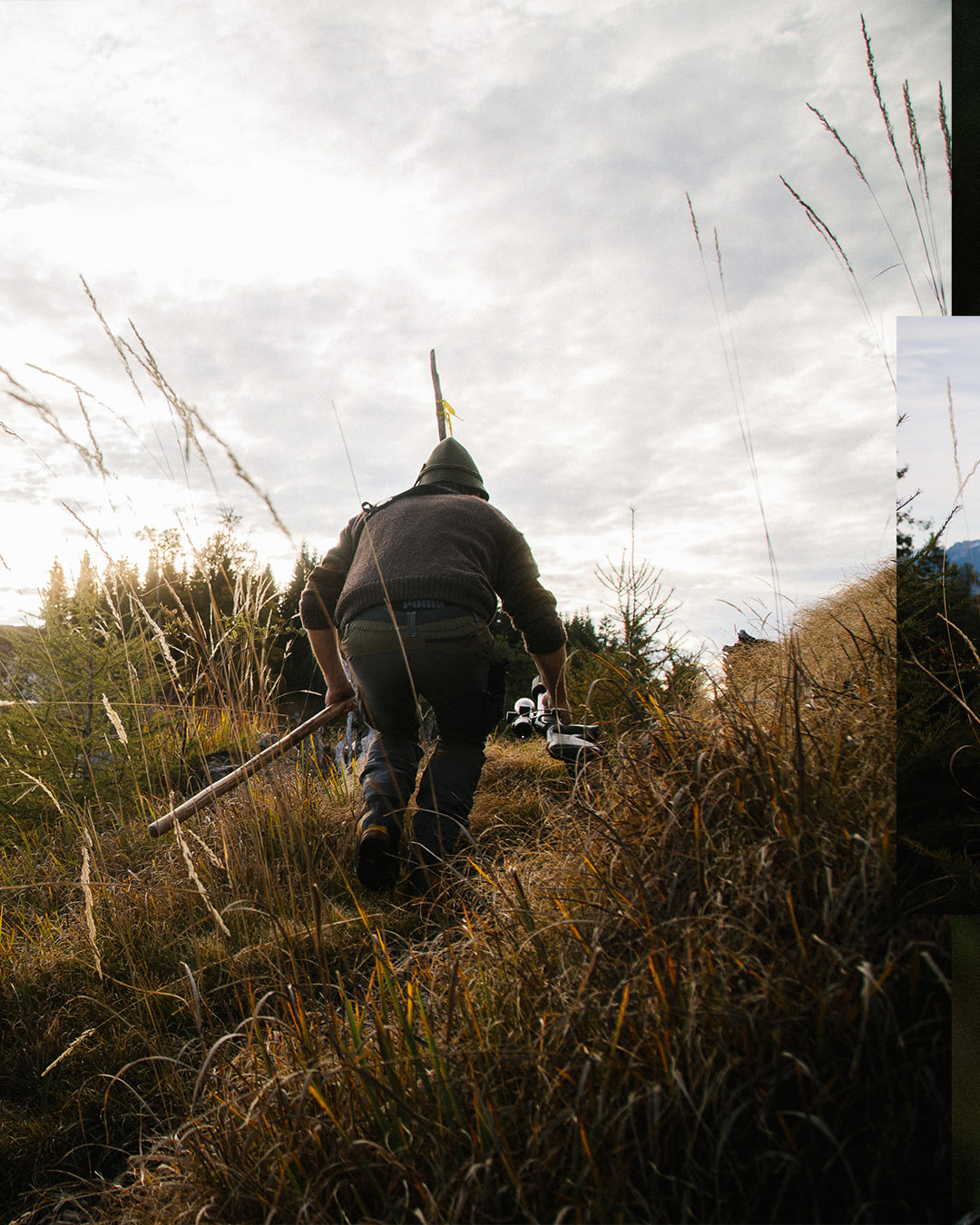 Wald Hunters — carousel 7