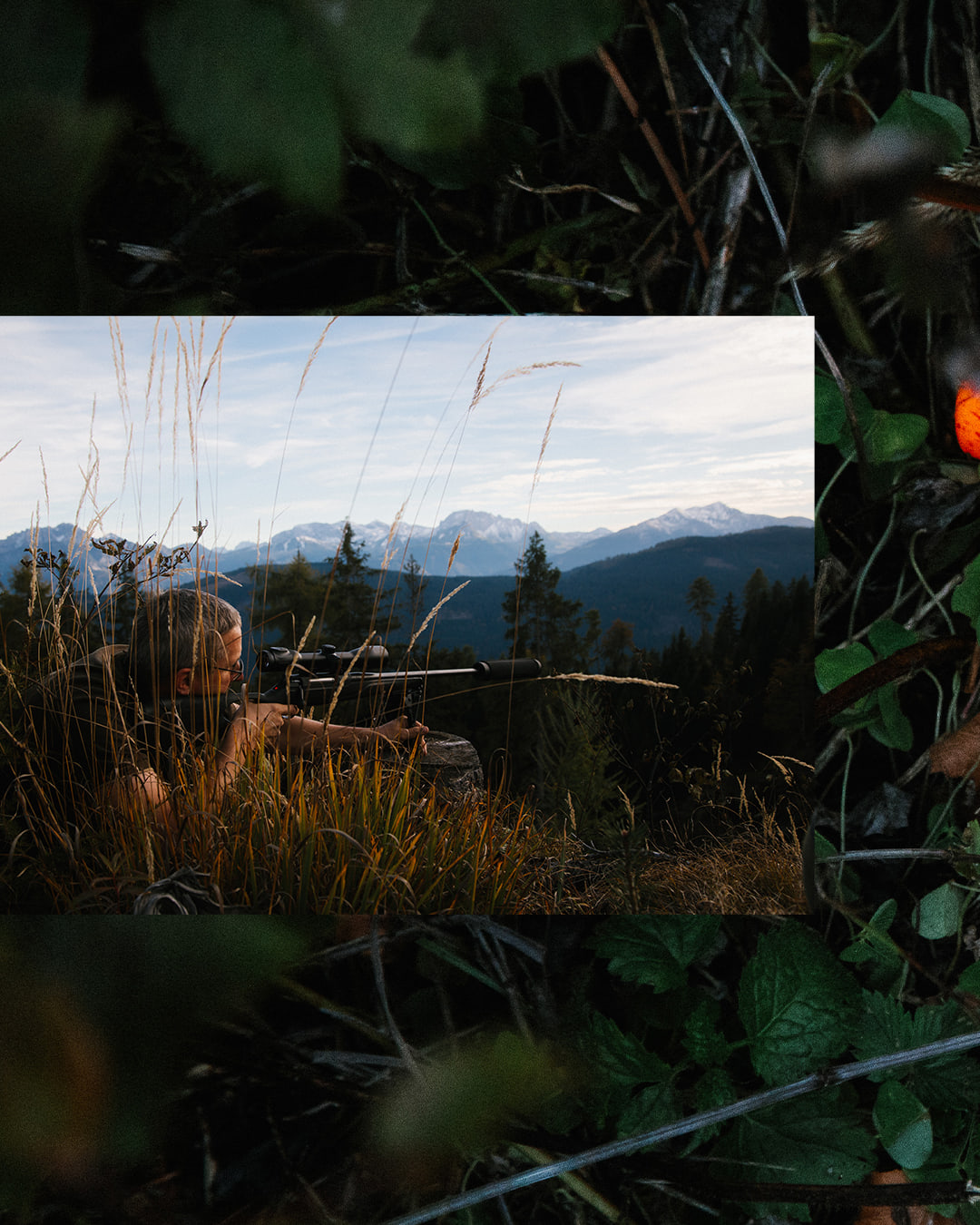 Wald Hunters — carousel 8