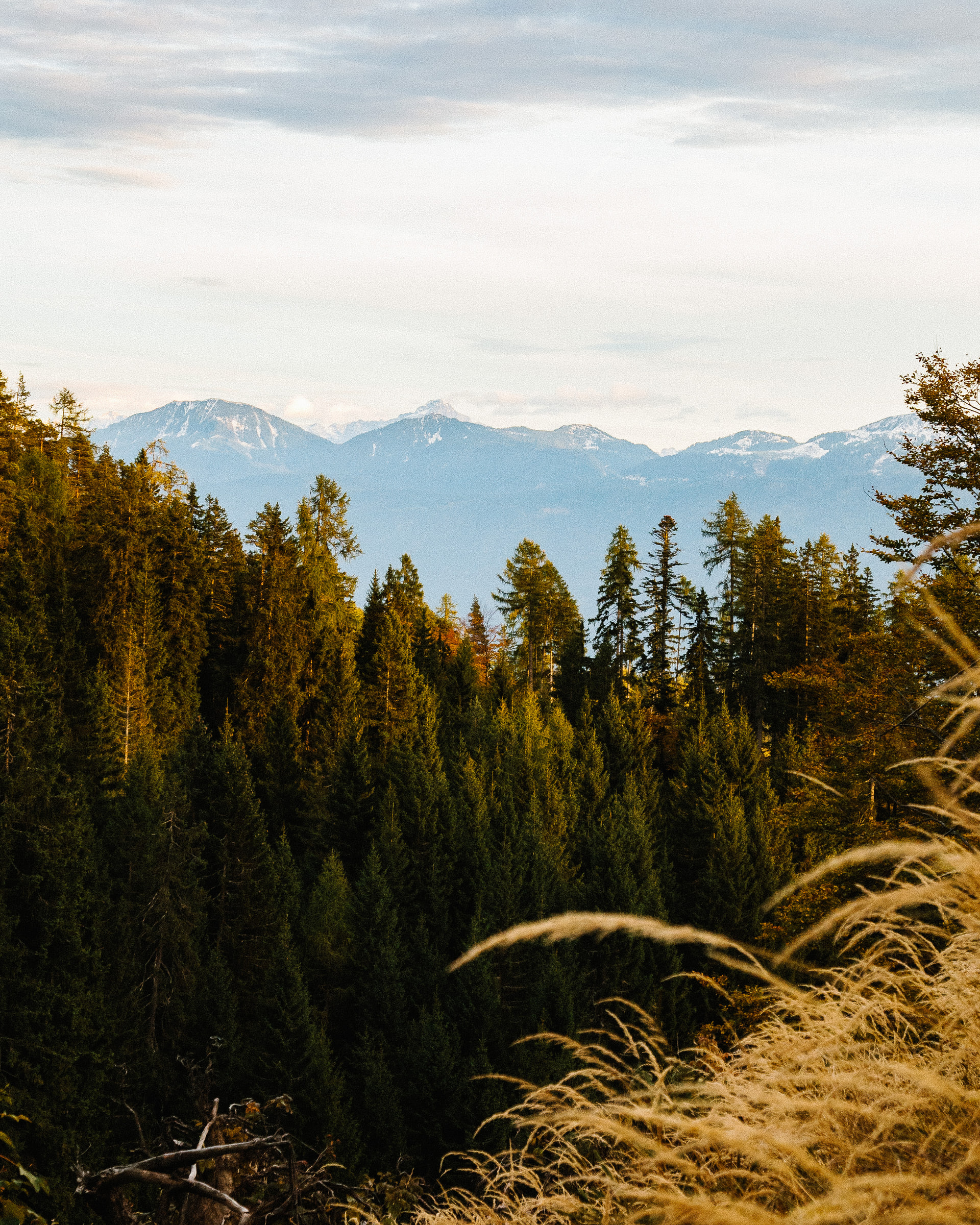 Wald Hunters — photo 9