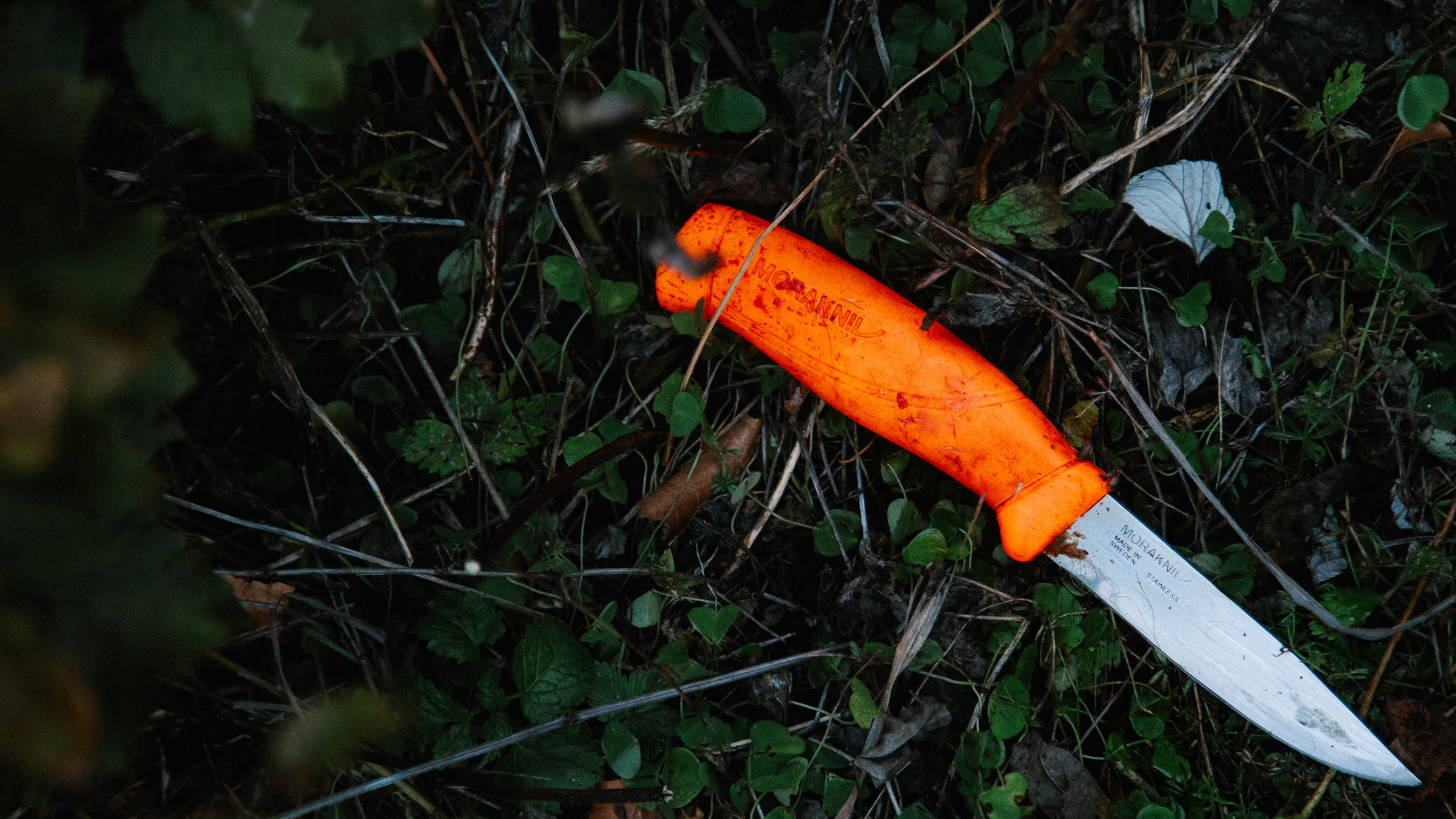 Wald Hunters — photo 11