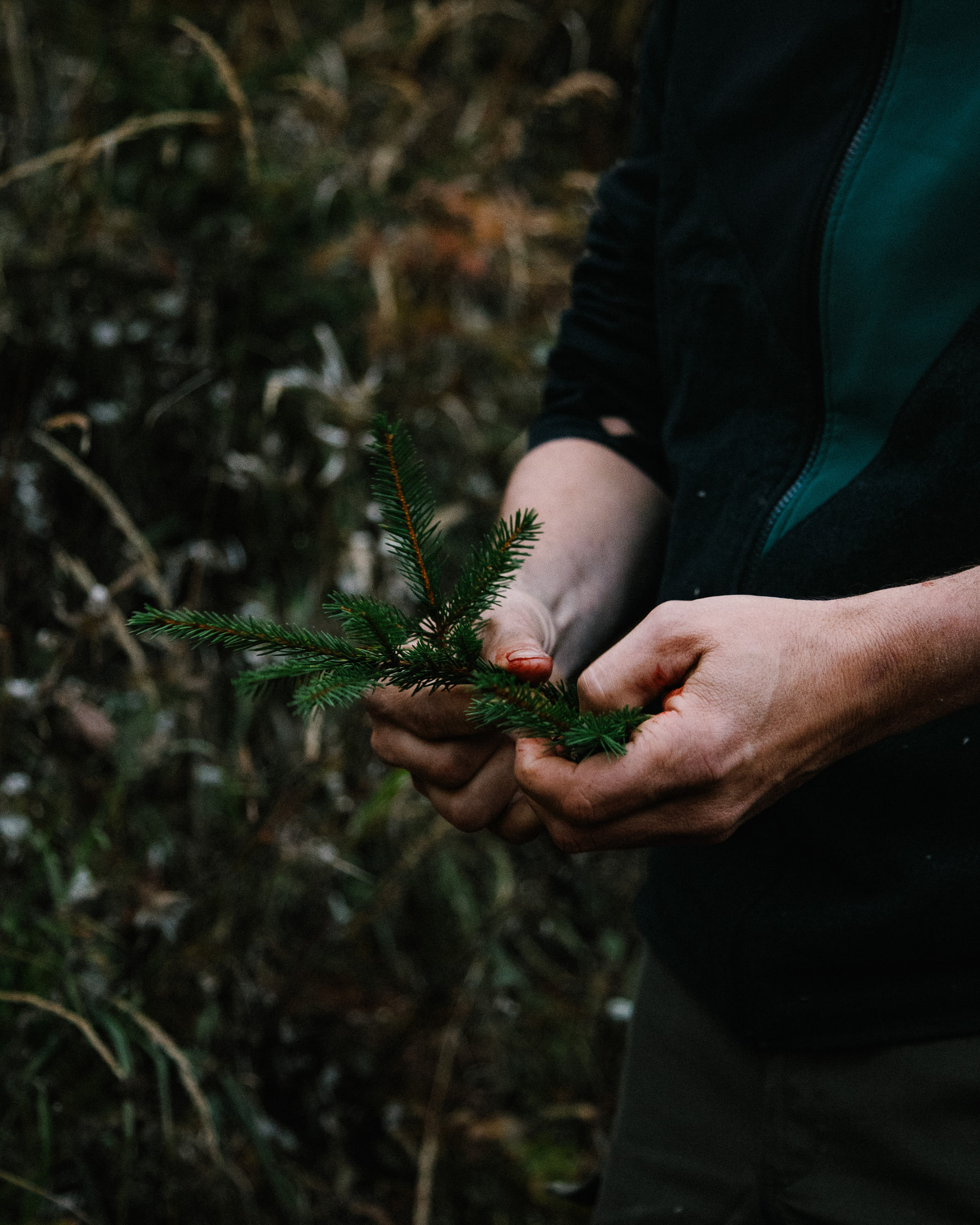 Wald Hunters — photo 12