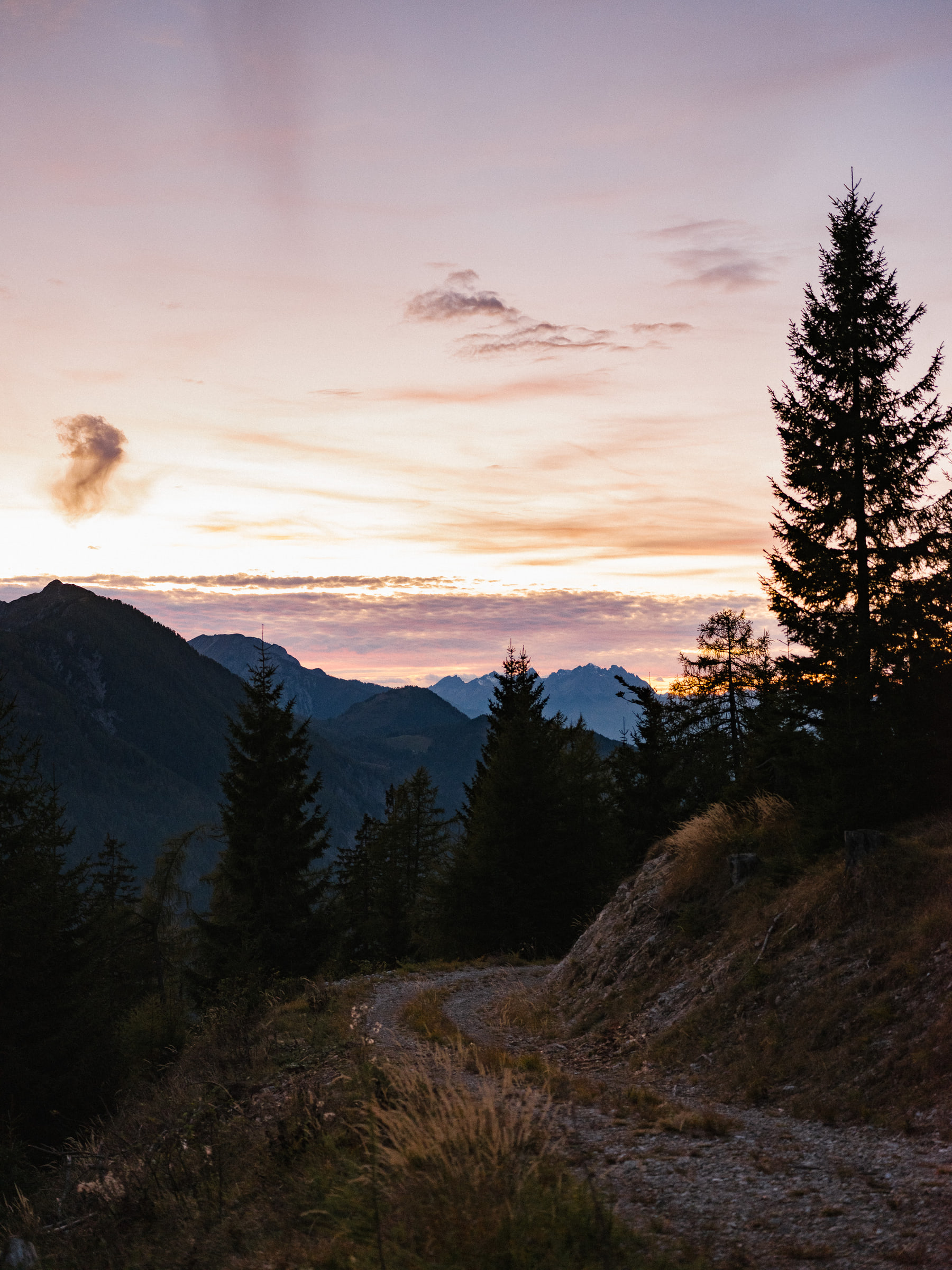Wald Hunters — photo 14