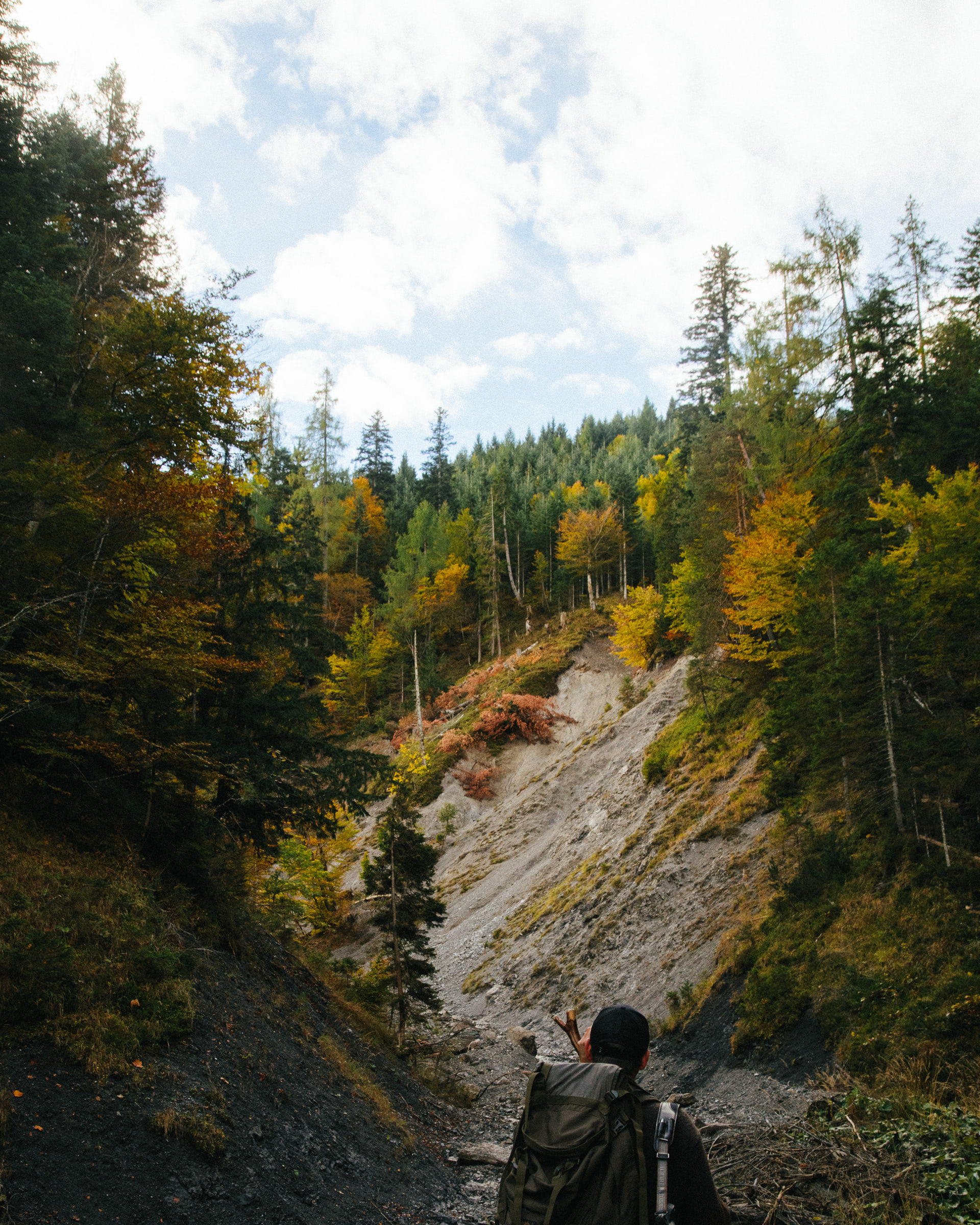 Wald Hunters — photo 19