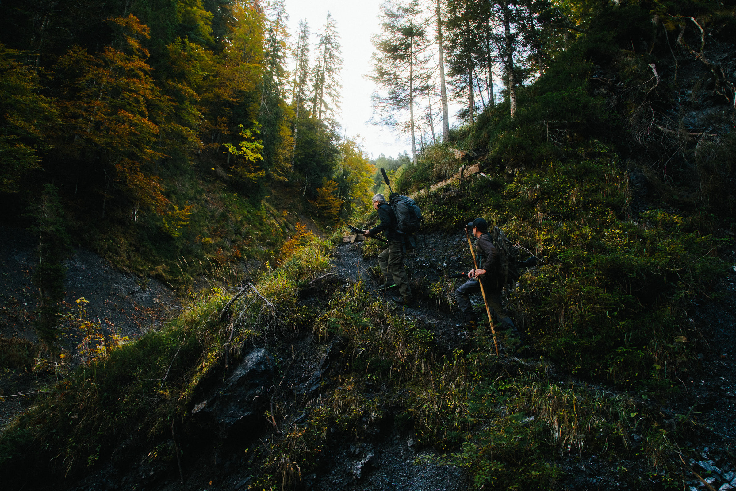 Wald Hunters — photo 20