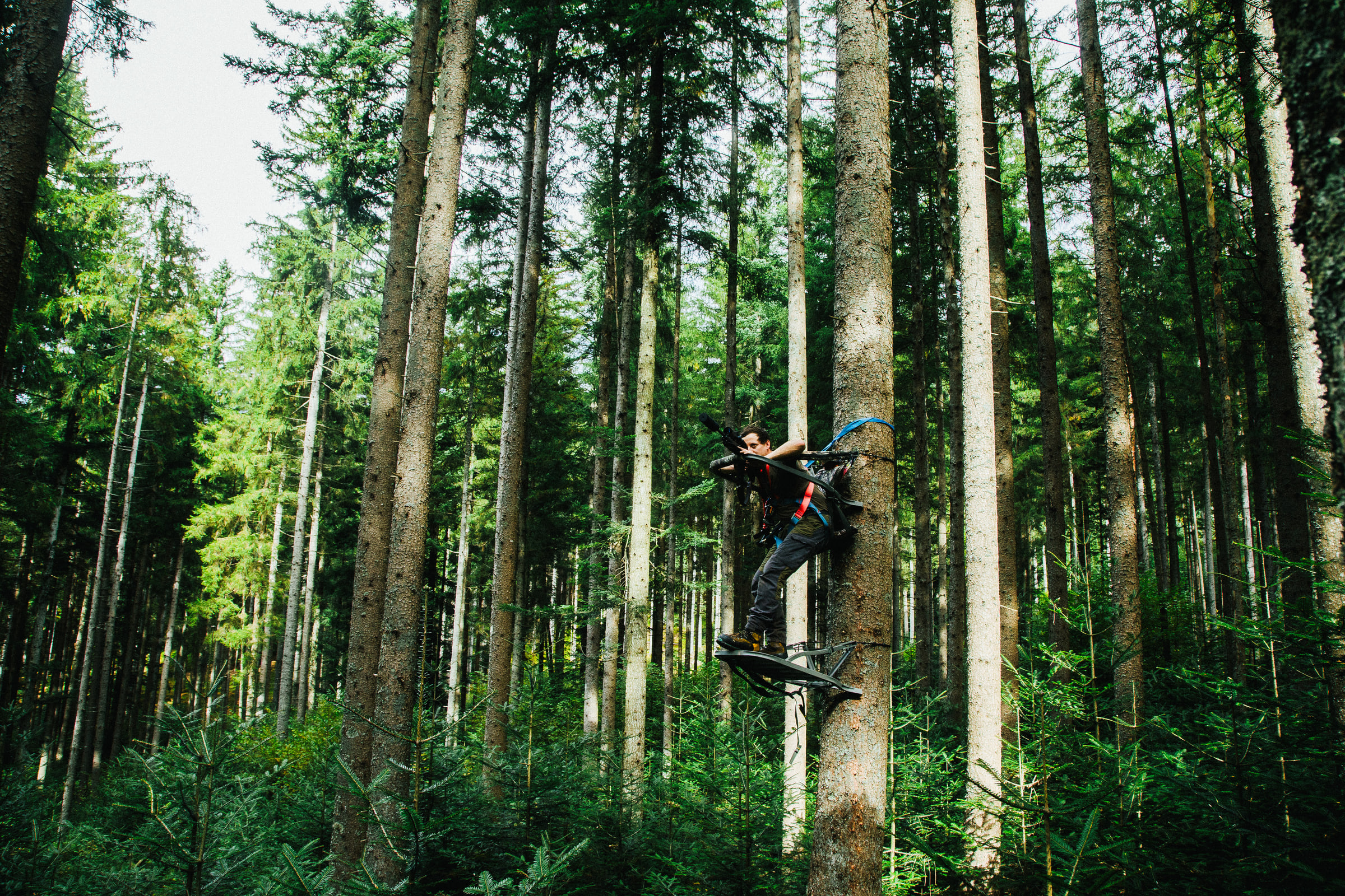 Wald Hunters — photo 23