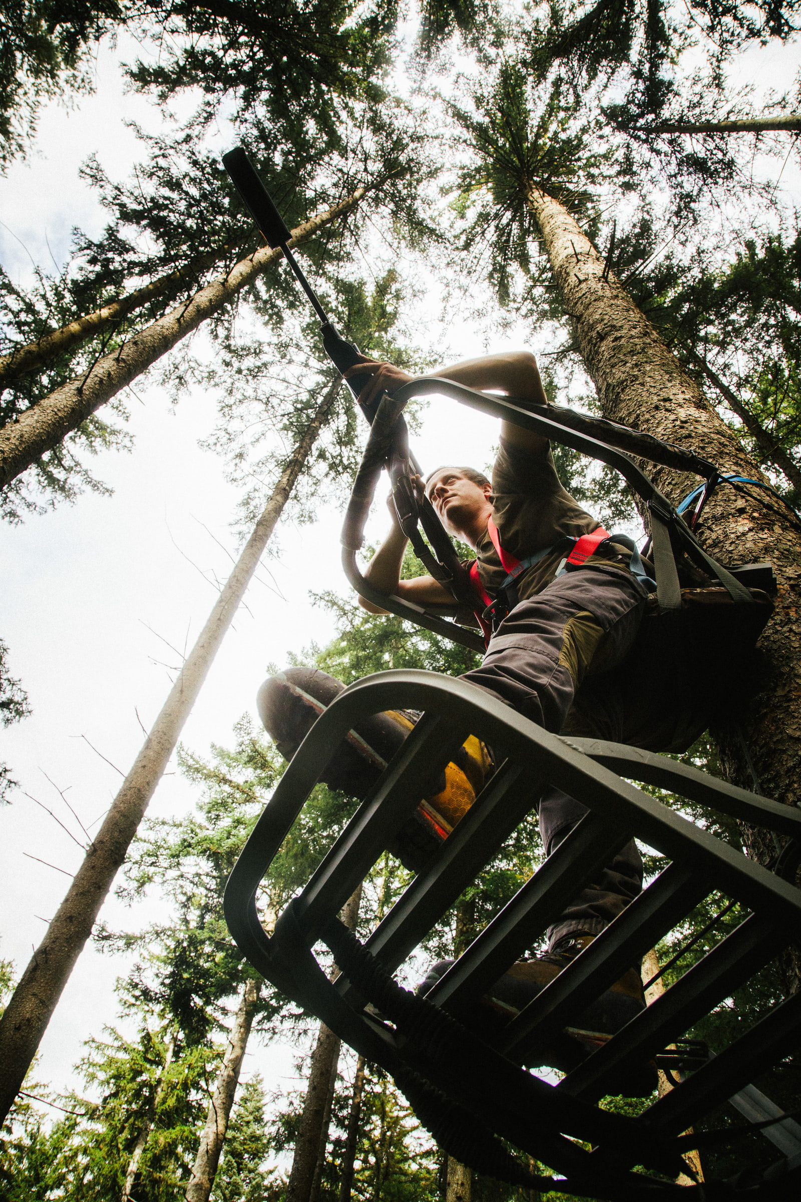 Wald Hunters — photo 24
