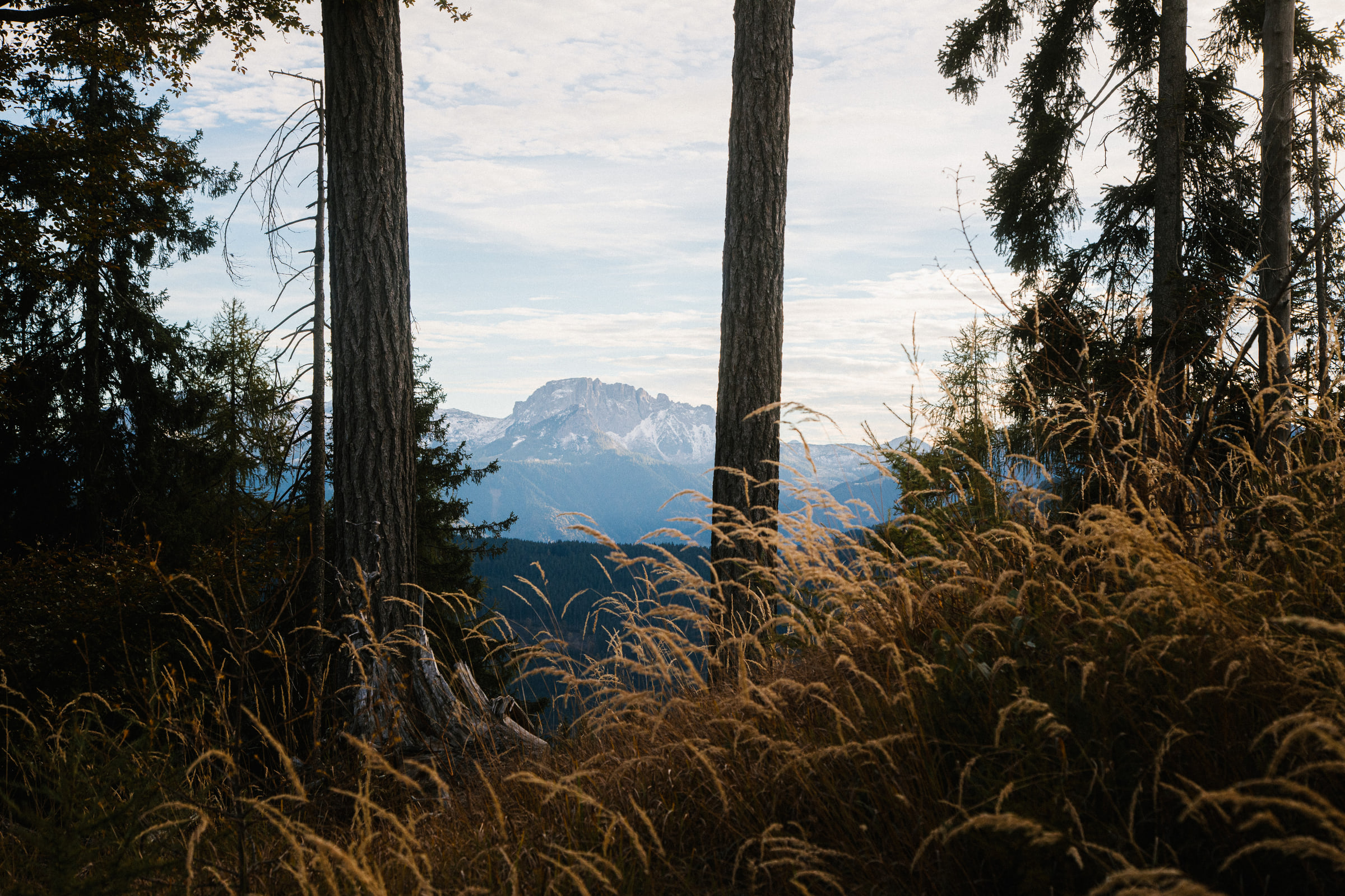 Wald Hunters — photo 4