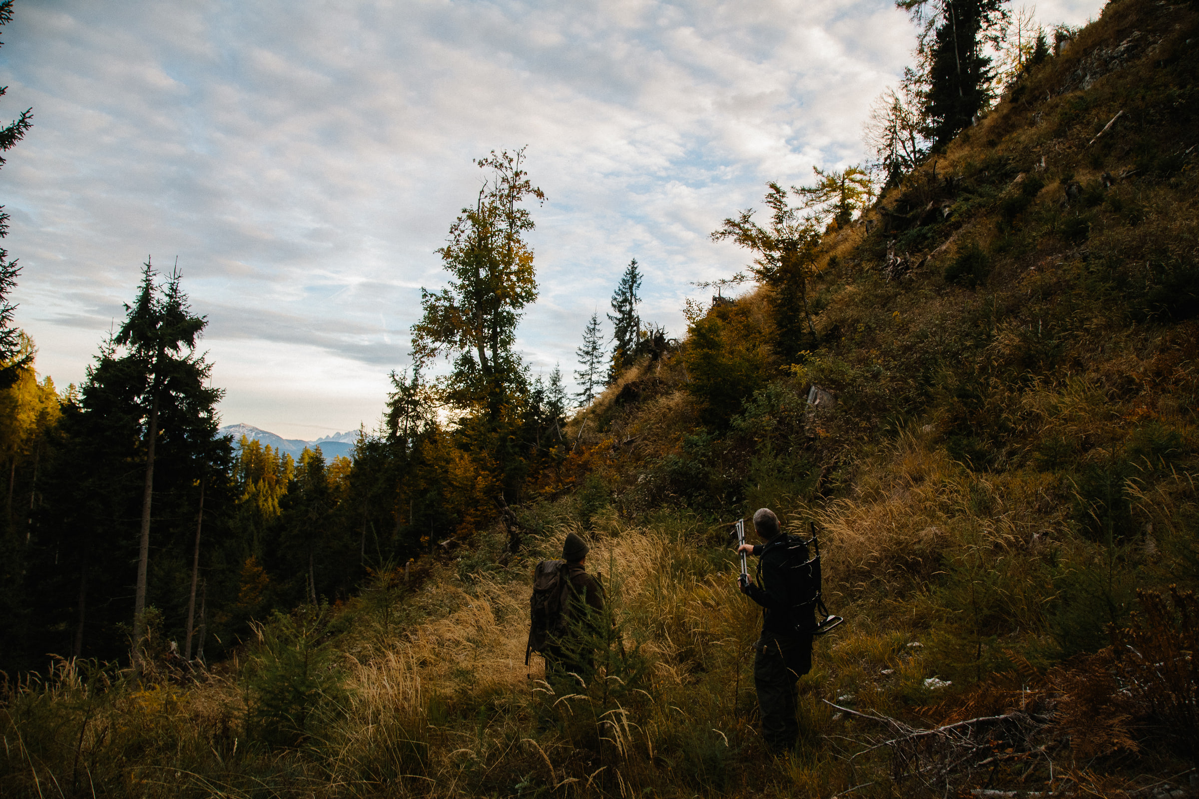 Wald Hunters